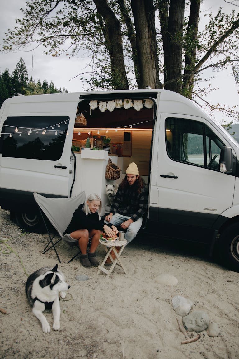 Enjoying a relaxing camping trip with dogs outside a cozy camper van in the great outdoors. Dog-Friendly Vacation Spots