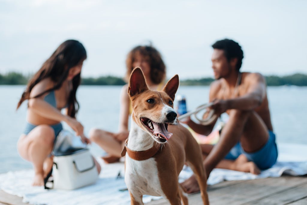 Dog-Friendly Vacation Spots in the U.S. 3 Friends enjoying a sunny day by the lake with a happy Basenji dog. Perfect for summer vibes.