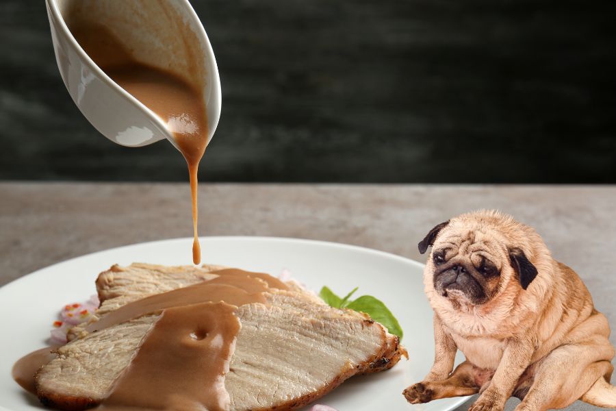 10 Foods You Shouldn’t Give Your Dog at Christmas As They Are More Dangerous Than You Think 3 Thick gravy is being poured over a slice of roasted turkey while a pug sits next to the plate. Gravy, often high in fat and seasoning, is among the foods you shouldn’t give your dog at Thanksgiving.