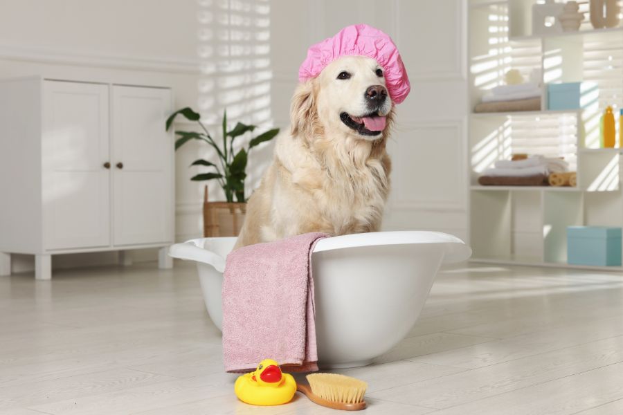 The Top Dog Names for 2025: What Americans Are Called Their Pups This Year 4 Golden Retriever wearing a pink shower cap sitting in a white bathtub with a towel, rubber duck, and brush, playfully representing the pampered personalities behind The Top Dog Names for 2025.
