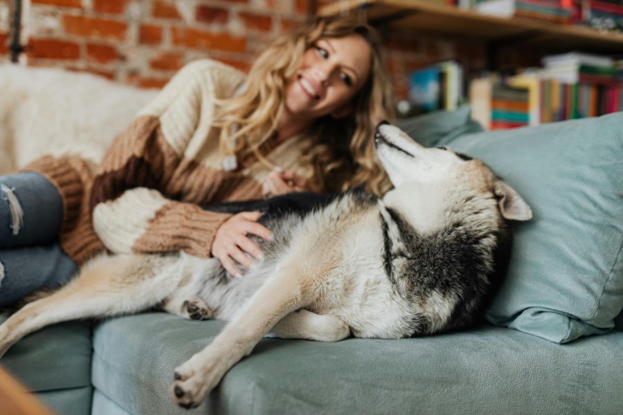 7 Things Humans Do That Dogs Hate and Why They Annoy Our Furry Friends 6 Woman petting a large dog on the couch while smiling, showing affection, which some dogs may enjoy or dislike depending on mood—highlighting how forced cuddles are things humans do that dogs hate.