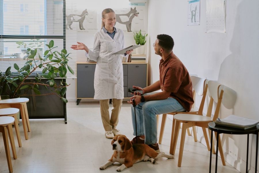 7 Easy Ways to Save Money at the Vet and the Expensive Mistake Almost Every Pet Owner Is Making 5 A pet owner talks with a smiling veterinarian in a waiting room while a beagle sits calmly at his feet. Building a good relationship with your vet and discussing cost-effective options are smart ways to save money at the vet.