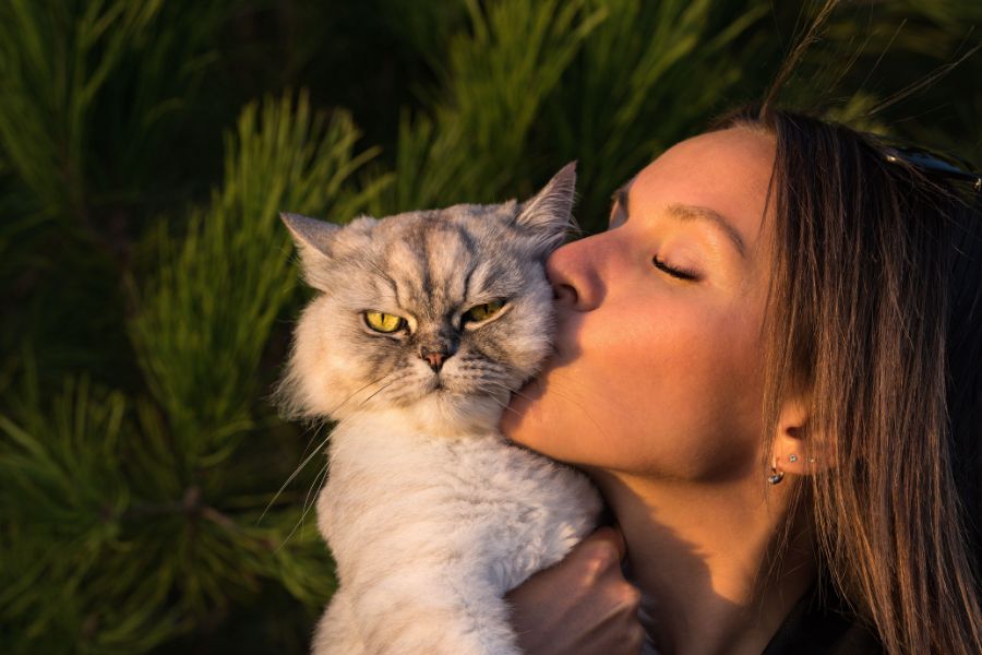 7 of the Smartest Cat Breeds in the World. Meet the Feline Geniuses and See Where Your Cat Comes On the Cat Intelligence Meter 1 A woman kisses a grumpy-looking silver Persian cat held in her arms outdoors – one of the most regal and clever choices among the Smartest Cat Breeds in the World.