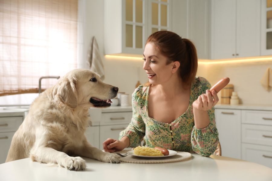The 7 Most Common Behavioral Issues In Dogs and What To Do To Stop Them (the 2026 Dog Behavior Guide) 5 Woman smiling at her dog at the kitchen table while holding a sausage, with the dog eagerly watching. Begging for food is among the common behavioral issues in dogs.