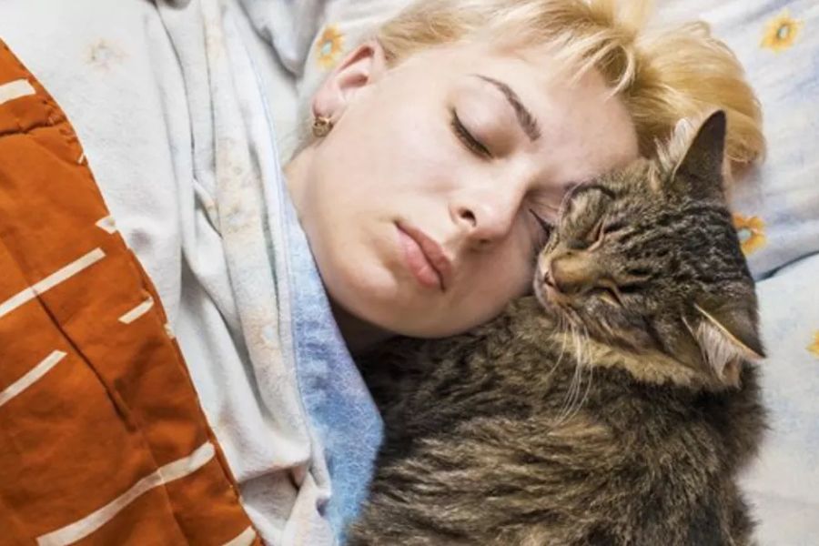 The Secret Language of Cats: Decoding 12 Common Cat Behaviors to Better Understand Your Feline Friend 8 A tabby cat snuggles up close to a sleeping woman, both with eyes closed and faces gently touching. This cozy moment reflects bonding and affection, common cat behaviors that signal trust and companionship.
