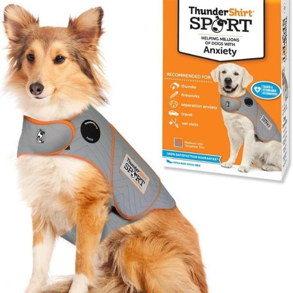 Dog wearing a ThunderShirt Sport anxiety vest beside its packaging, a pressure wrap solution to support your dog during a thunderstorm or stressful moments.