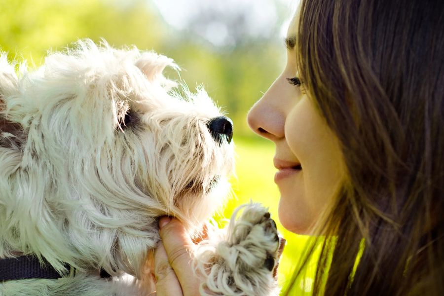 7 Things Your Dog Secretly Wishes You Knew About Them (What They Can't Put Into Words) 5 A woman smiles gently while holding her fluffy white dog close, their noses almost touching in a loving moment. It captures the emotional connection central to 7 Things Your Dog Secretly Wishes You Knew About Them.