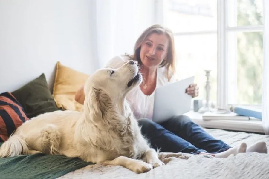 7 Things Your Dog Secretly Wishes You Knew About Them (What They Can't Put Into Words) 4 A woman sits on a bed with a large white dog who appears to be howling or talking, expressing something important. This cozy scene echoes the communication theme in 7 Things Your Dog Secretly Wishes You Knew About Them.