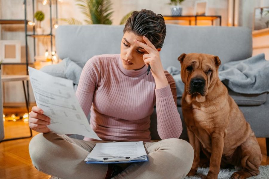 Does Your Dog Know When You're Having a Bad Day? Science Says Yes (And Here's How They Pick Up On It) 3 A woman sits on the floor, visibly stressed while reading bills, as her Shar Pei sits quietly beside her. This scene suggests how dogs stay close during tough times, prompting the question does your dog know when you're having a bad day.
