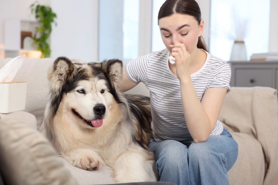 A woman sits on a couch with a tissue in hand, appearing to wipe her nose while a large, fluffy dog lounges beside her. The scene subtly connects human seasonal allergies or low moods to the idea that pets might also experience seasonal affective disorder.